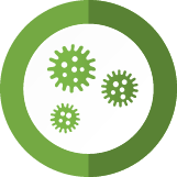 Residential Mold Inspection Pros