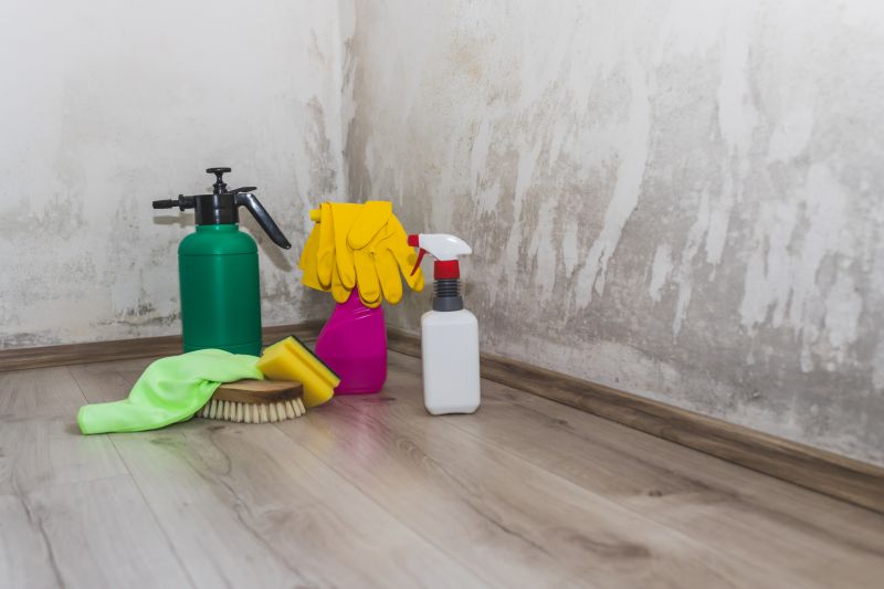 Black Mold Remediation in Dallas, TX