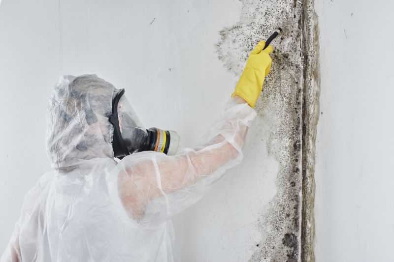Mold Abatement in Plano, TX