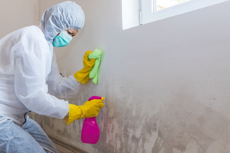 Mold Cleanup Service in Frisco, TX