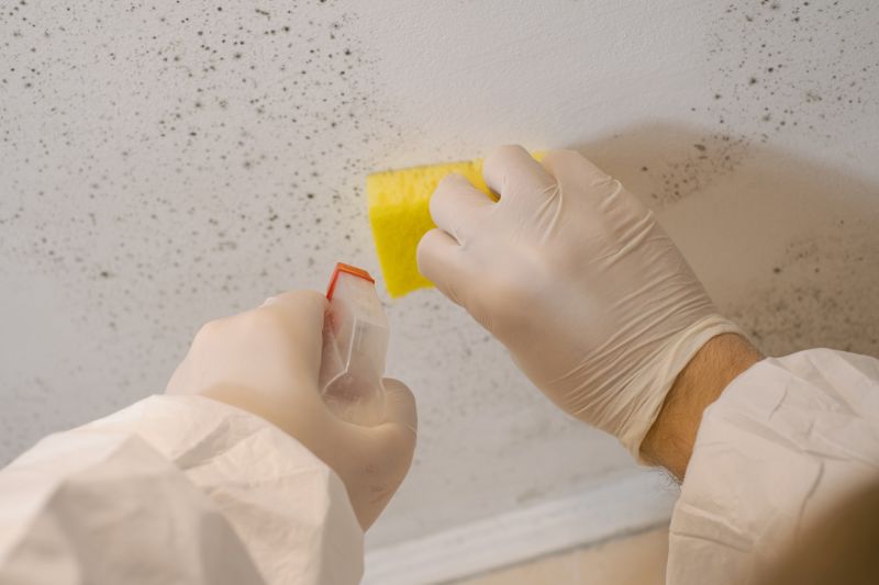 White Mold Mitigation in West Palm Beach, FL