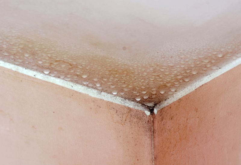 Basement Mold Remediation in Fort Worth, TX
