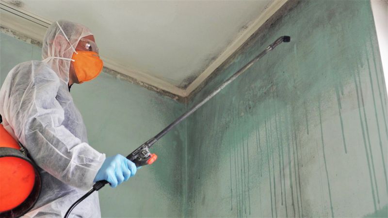Crawlspace Mold Remediation in Essex County, NJ