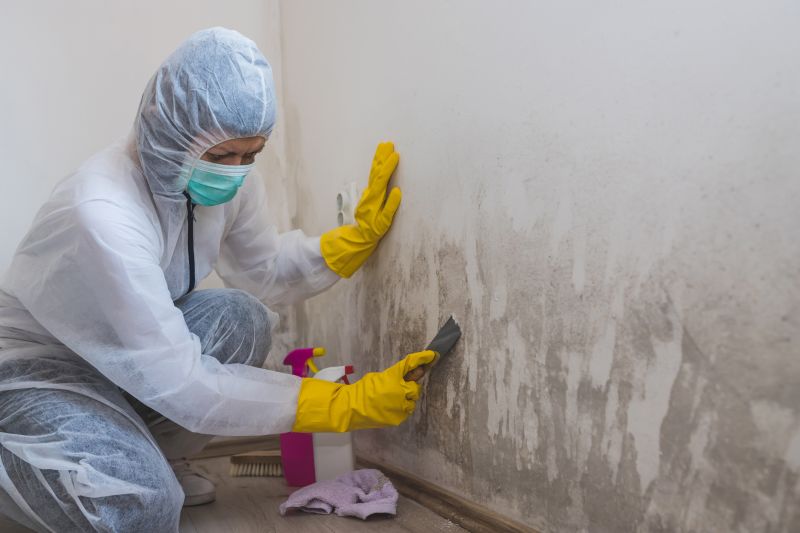 Mold Abatement Service in Bergen County, NJ