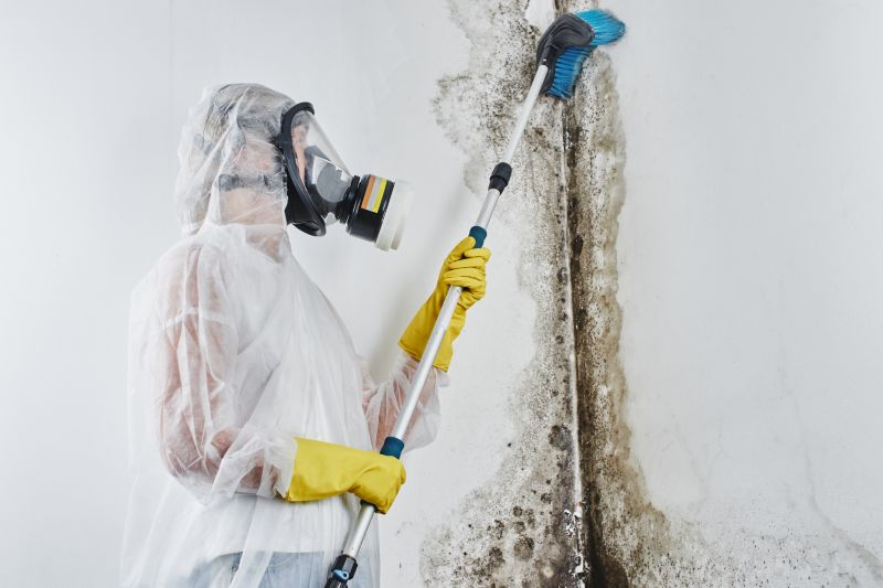 Mold Treatment Service in Jupiter, FL