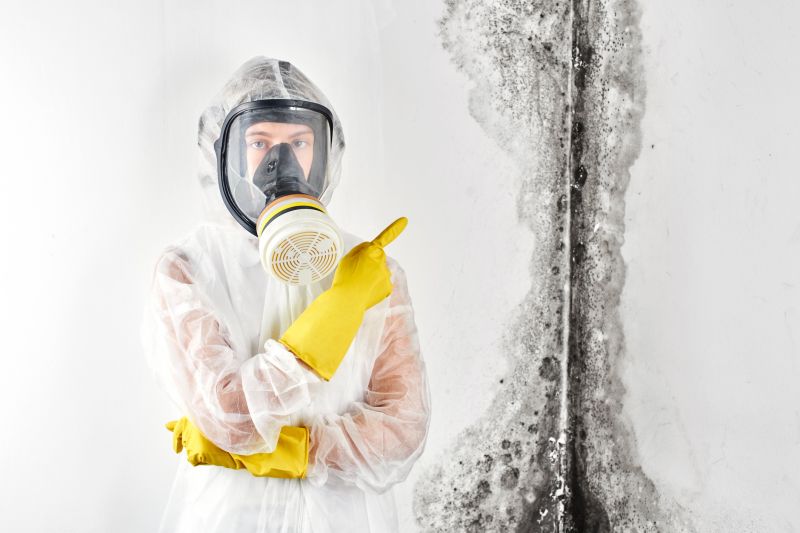 Residential Mold Inspection