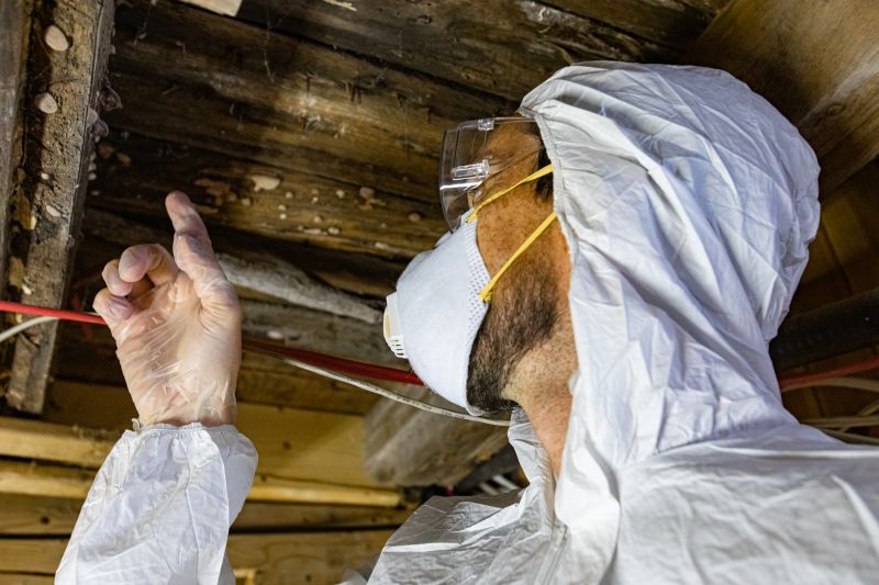 Residential Mold Inspection
