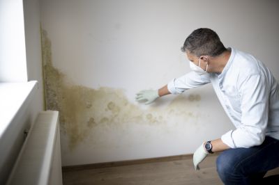 Residential Mold Inspection