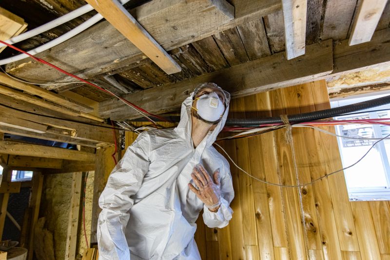 Residential Mold Inspection