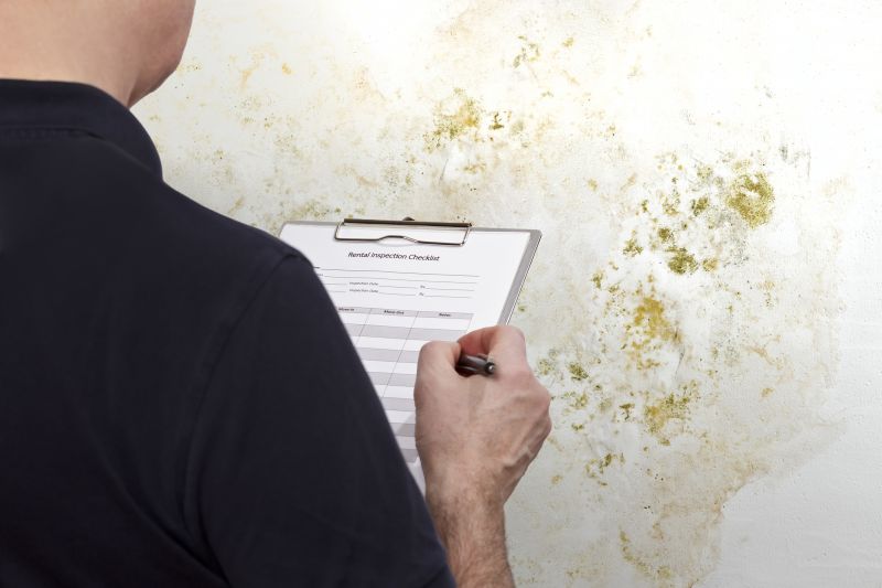 Residential Mold Inspection