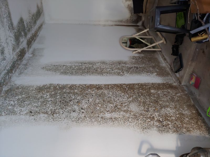 Mold Inspection in a Living Room